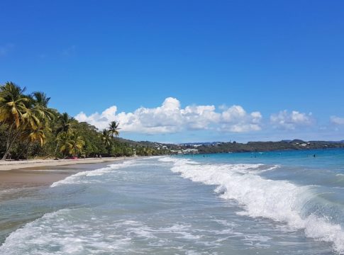 Martinique 33