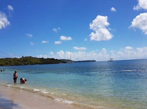 Пляжи Мартиники. Pointe Borgnese Le Marin